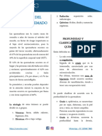 Quemaduras PDF