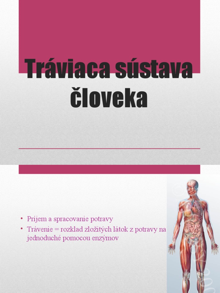 Traviaca Sustava Cloveka Prezentacia | PDF