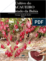 CCEB cultivo do cacaueiro estado da Bahia