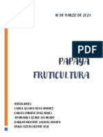 Fruticultura Papaya