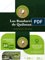 Las Bandurrias de Quilmaná-1 PDF
