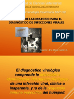 Diagnóstico de Enfermedades Virales Práctica 8 PDF