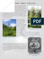 Tree Magic PDF