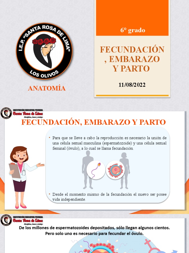 Fecundación, Embarazo y Parto para Niños | PDF | Parto | El embarazo