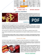 Coloresterol PDF