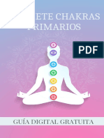 Guia Los Siete Chakras Primarios