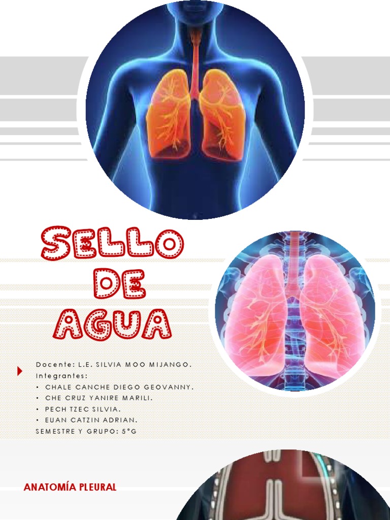Bomba De Repuesto Completa Para PREDATOR Bomba De Agua