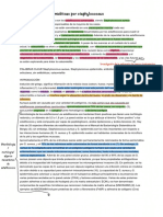 Staphylococcal Osteomyelitis Disease Progression, Treatment TRADUCIDO PDF