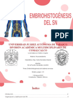 Clasificación Del SN