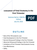 Evaluation of Fetal Anatomy in The 1st TM Edited