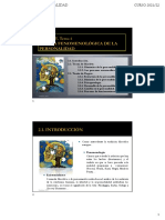 Tema 4. TEORIAS FENOMENOLÓGICAS 2021-22 PDF