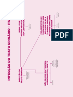 Mapa Mental - Infecção Do Trato Urinário - ITU PDF