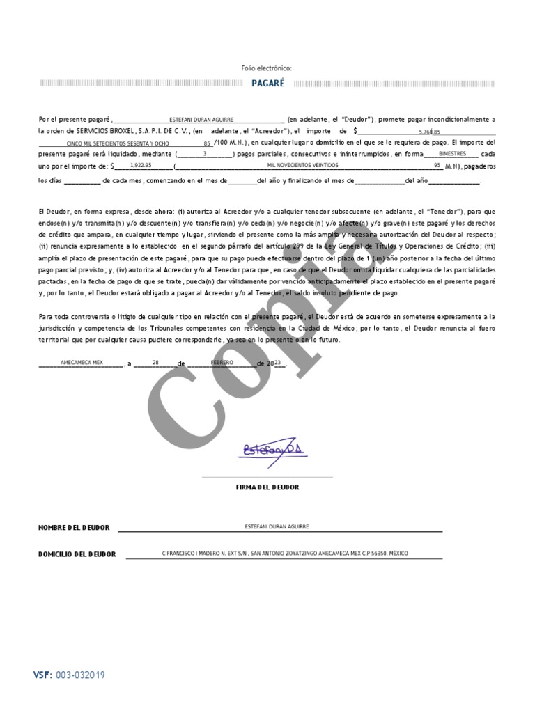 pagare-pdf-pdf-responsabilidad-contabilidad-financiera