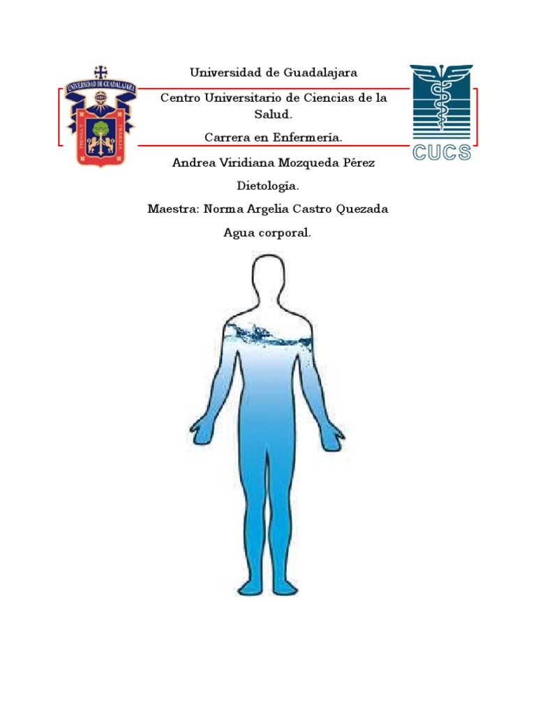 Funciones y composición del agua en el cuerpo | PDF | Zoología | Fisiología