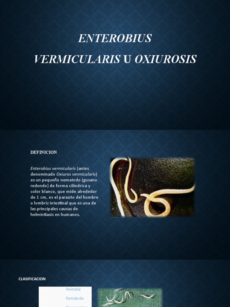 Enterobius Vermicularis | PDF | Estudios de idiomas extranjeros ...