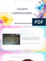Ascaris Lumbricoides Diapositivas 2.0