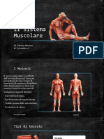 Il Sistema Muscolare.pptx