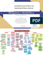 Mapa Conceptual Conceptos Básicos