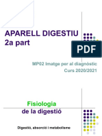 Digestiu Ii PDF