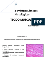 Roteiro Prático Lâminas Histológicas Músculos