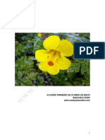 20 Mimulus PDF