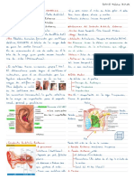 Resumen de la anatomía y relaciones del oído externo