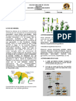 Leyes de Mendel PDF