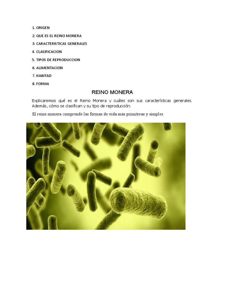 Características y Clasificación del Reino Monera | PDF | Las bacterias |  Procariota