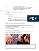Sistema Cardiovascular e Respiartorio PDF