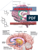 Hormonas