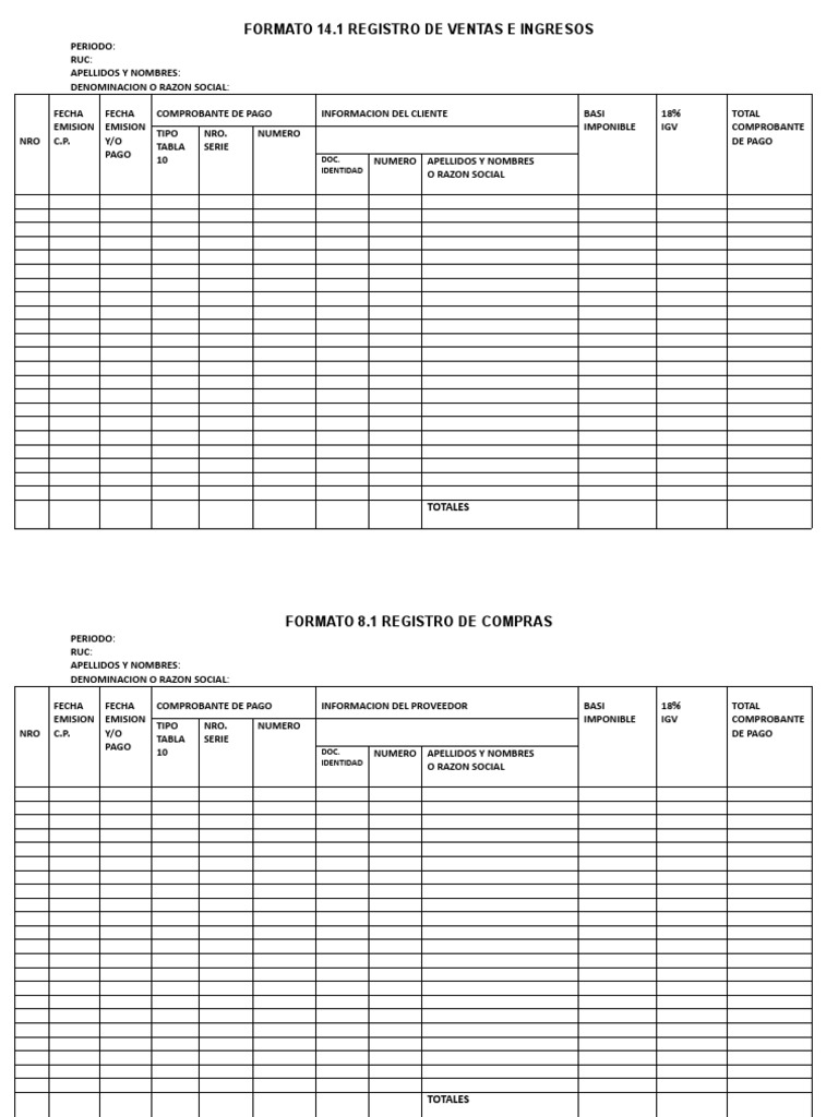 Formato de Registro de Compras y Ventas | PDF