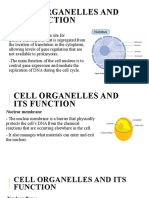 Cell Organelles Functions