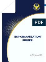 BSP Org Primer PDF