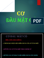 Lec 1 Cơ Đầu-Mặt-Cổ PDF