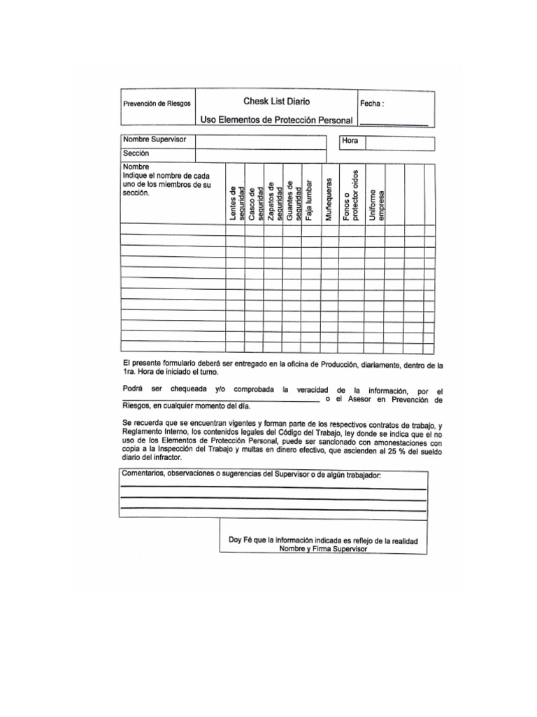 Check List Diario de EPP | PDF