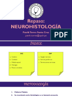 REPASO PRÁCTICO - Neurohistología - Patrik Torres