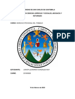 Organigrama, Resumen y Sintesis PDF