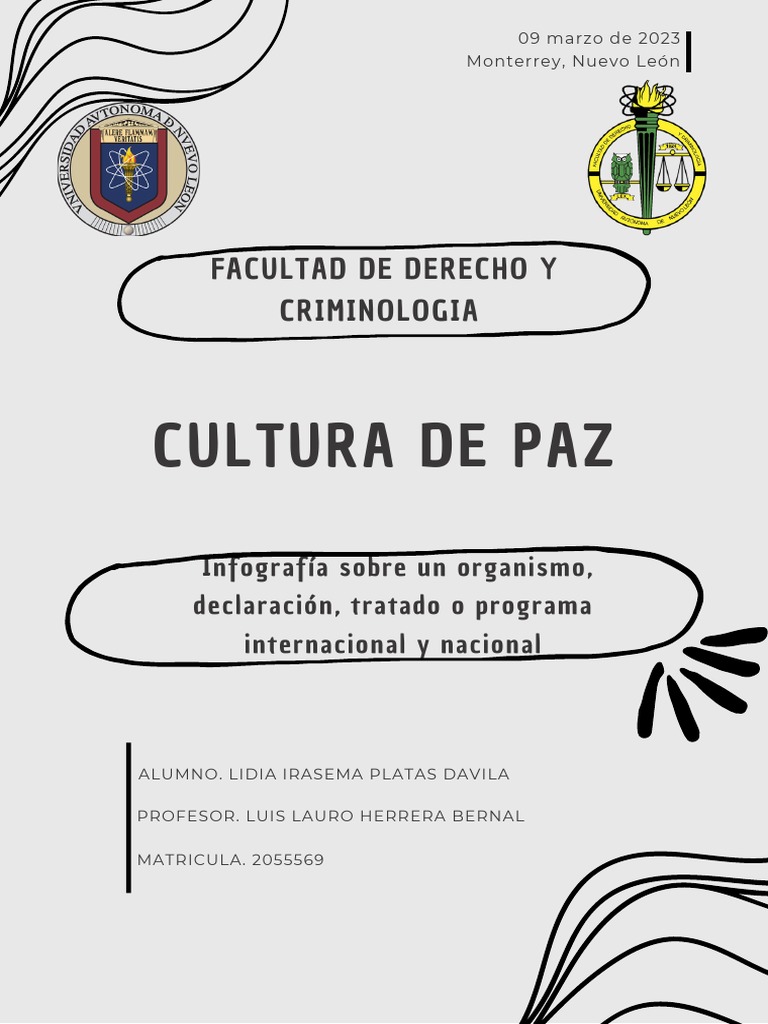 Promoviendo una cultura de paz a través de organizaciones ...