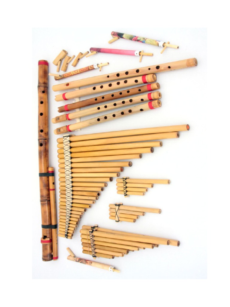 Instrumentos De Viento Madera Pdf