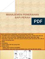 6B Manajemen Pemerahan