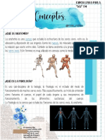 Conceptos PDF