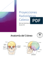 Clase 9 P.R Cabeza PDF