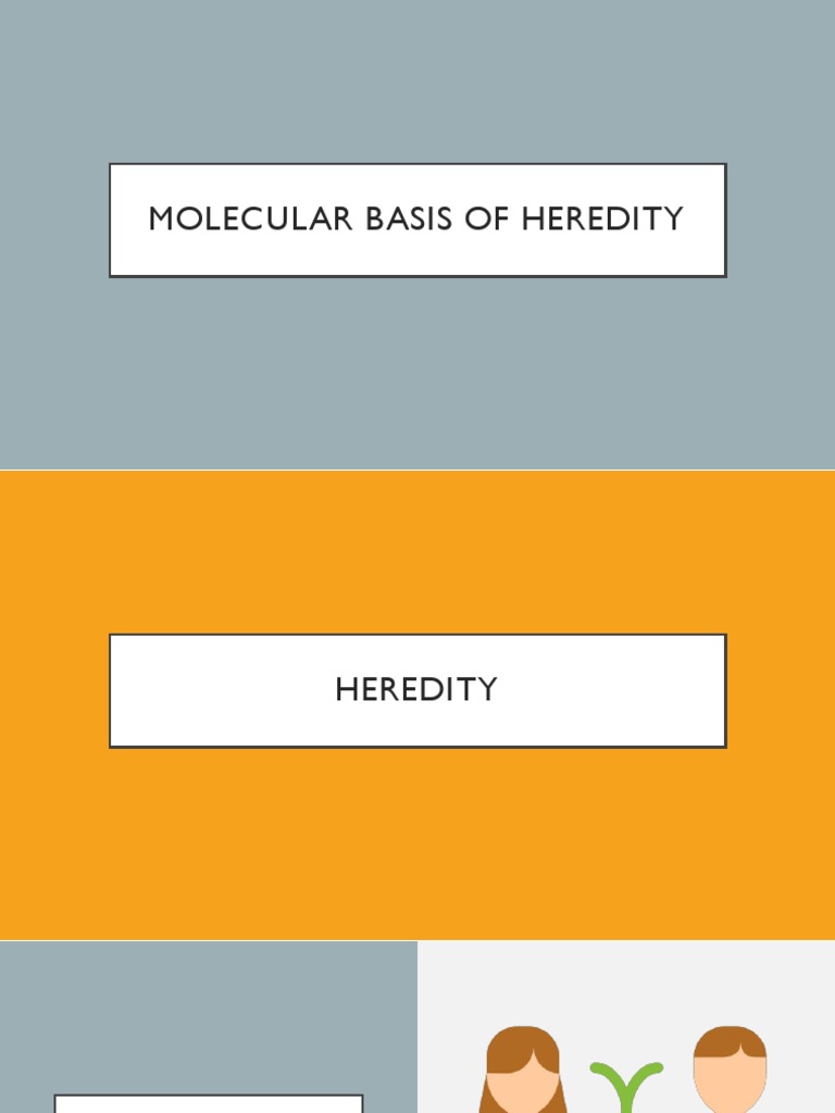 MOLECULAR BASIS OF HEREDITY intelligence overview