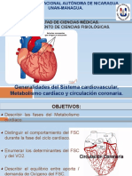 Generalidades Del Sistema Cardiovascular, Metabolismo Cardíaco y Circulación Coronaria.