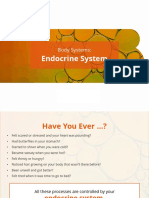 Endocrine System 1679688735567 PDF