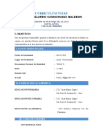 Curriculum Vitae: Fraid Abelardo Casachagua Baldeon