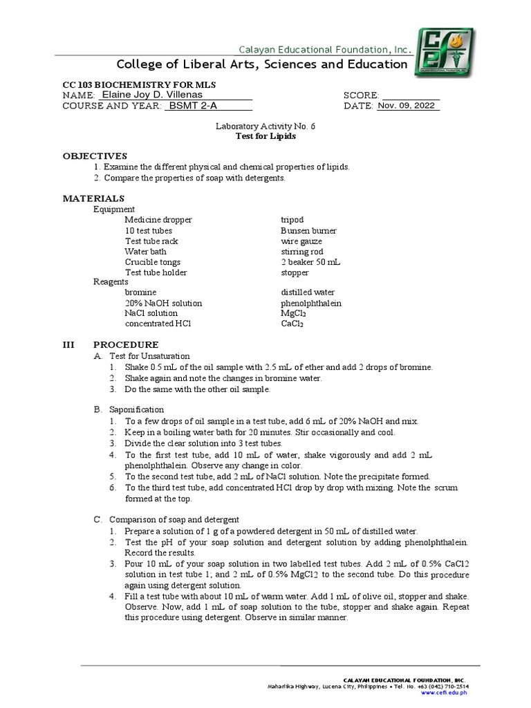 CC 103 Laboratory Activity No. 6 TEST FOR LIPIDS PDF PDF Soap