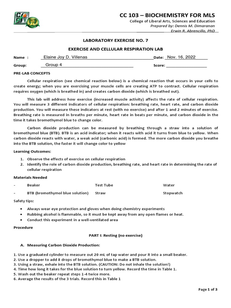 Effects of Exercise on Respiration Lab | PDF | Breathing | Cellular ...
