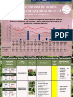 BOLETIN SAT FRESA No 1 DEL 25 OCT AL 7 NOV 21