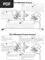 Pollination Worksheet Stage 5 Worksheet | PDF | Pollination | Science